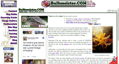 Desktop Screenshot of bulbmeister.com