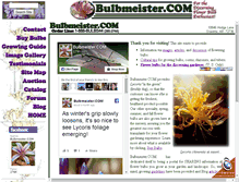 Tablet Screenshot of bulbmeister.com
