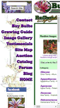 Mobile Screenshot of gallery.bulbmeister.com
