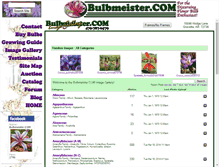 Tablet Screenshot of gallery.bulbmeister.com
